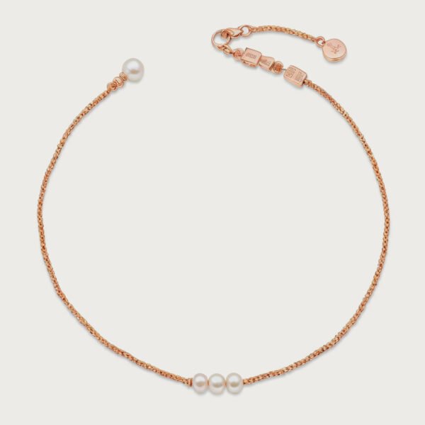 Disk Charm Anklet Bracelet with polished disk charms on fine chain